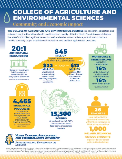 College of Agriculture and Environmental Sciences, Community and Economic Impact, Infographic, click to download the accessible PDF